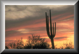 In the desert clouds come quickly and leave just as fast